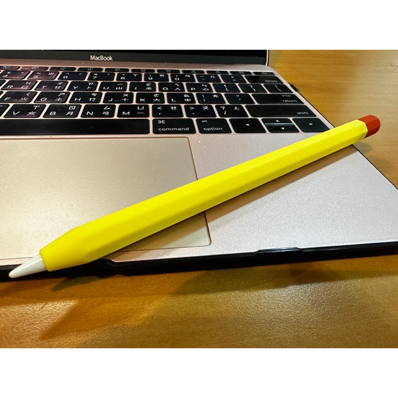 2手Apple Pencil 第一代（2020年購入使用）￼
