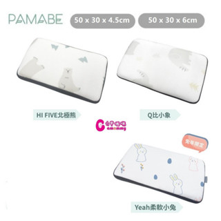 PAMABE 4D兒童水洗透氣枕【贈-無紡布提袋】