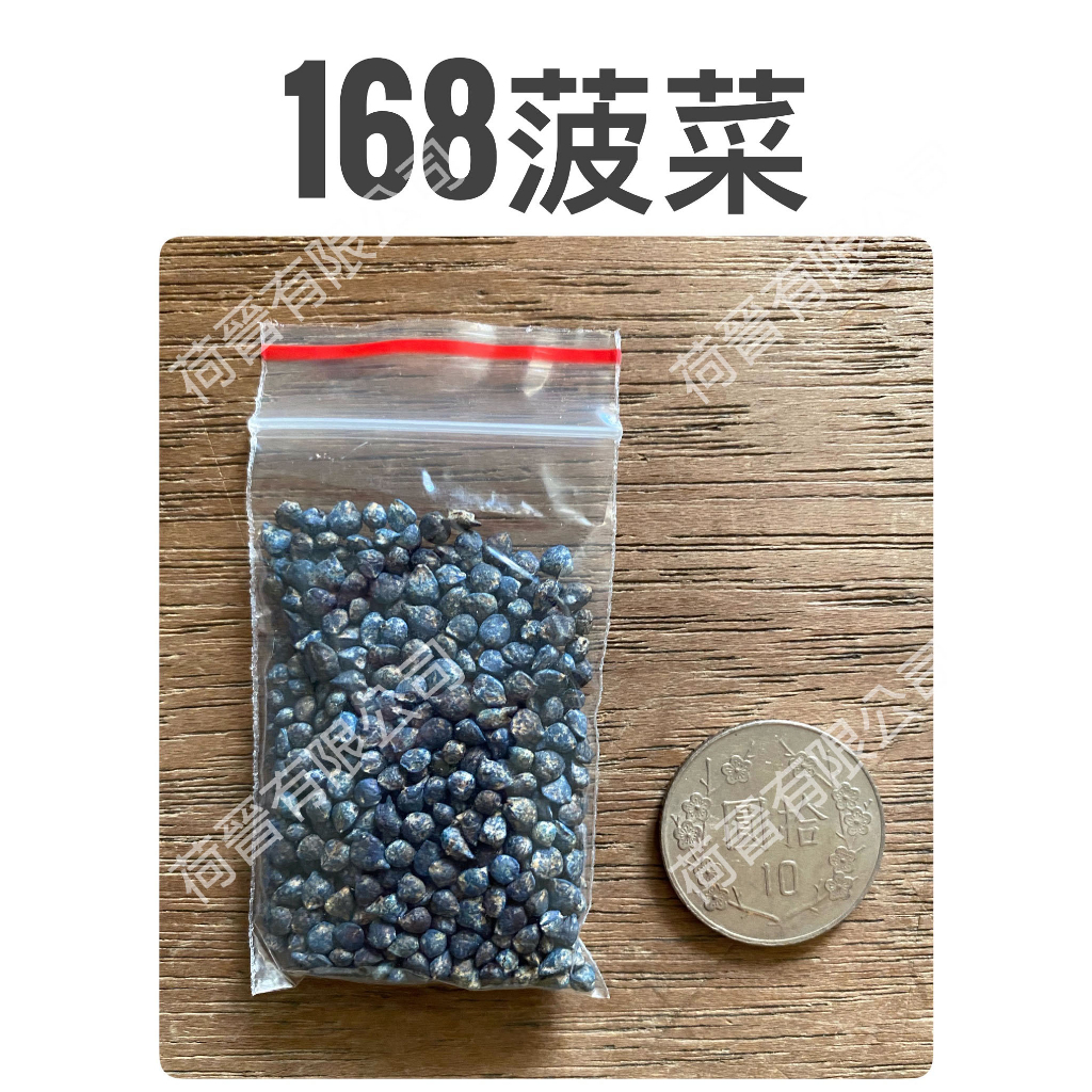 168菠菜種子6.5公克(約500粒)