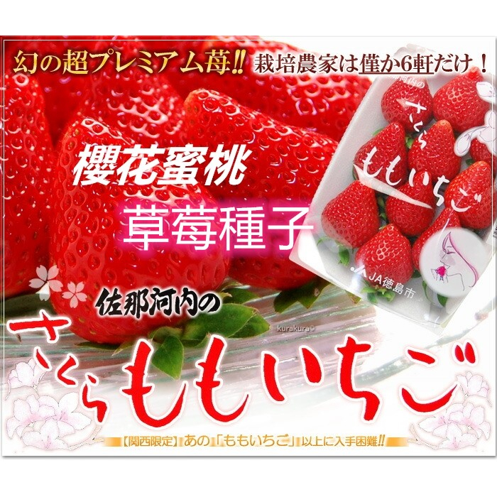正統2024日本草莓種子. 德島櫻花水蜜桃草莓 (さくらもも*いちご)　*****草莓種子12粒/袋