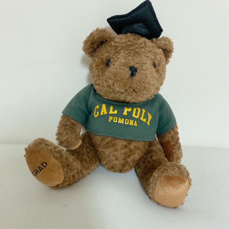 收藏品 布偶 娃娃 畢業熊 國外 加州 熊娃娃 大學熊