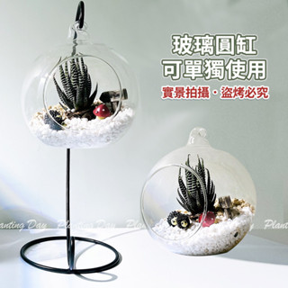 【草葉日和】花器 花盆 微景觀 盆栽 12cm微景觀吊瓶組 生態瓶 多肉植物 室內植物 玻璃花瓶 花盆 辦公室小物 現貨
