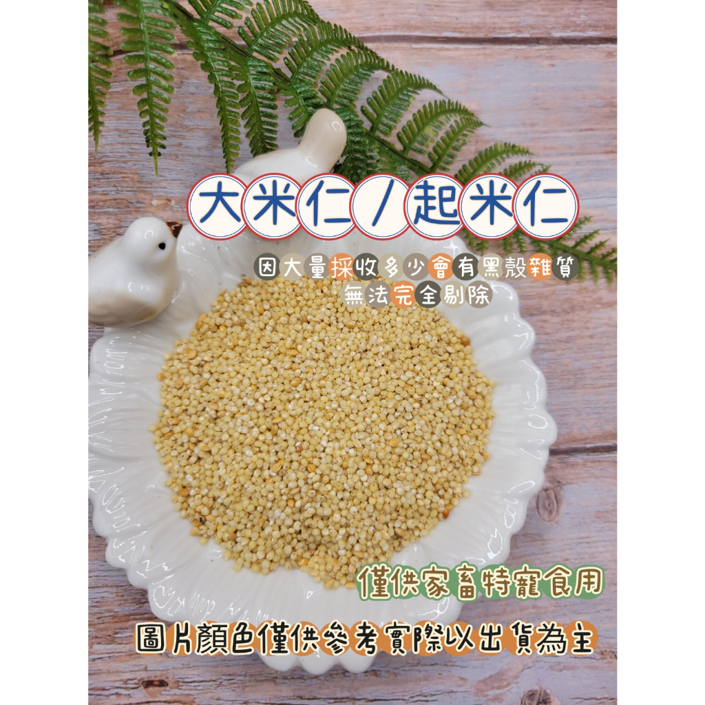 農產物/熟化大米仁/1斤47元半斤28元/鸚鵡飼料/無殼小米大顆版/起米仁/粟仁