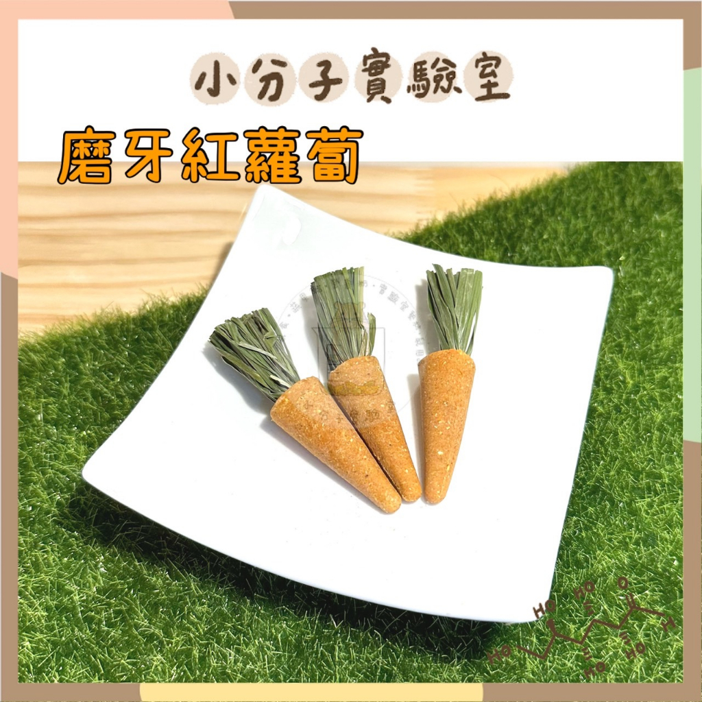 ◆小分子◆ 【台灣現貨】磨牙紅蘿蔔 3支入 點心 零食 磨牙餅 磨牙棒 倉鼠 黃金鼠 兔子 天竺鼠 牧草 提摩西