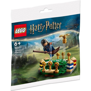 ||高雄 宅媽|樂高 積木|| LEGO“30651 哈利波特的魁地奇訓練 Polybag“