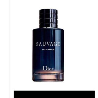Dior 成品男性香水 100ml