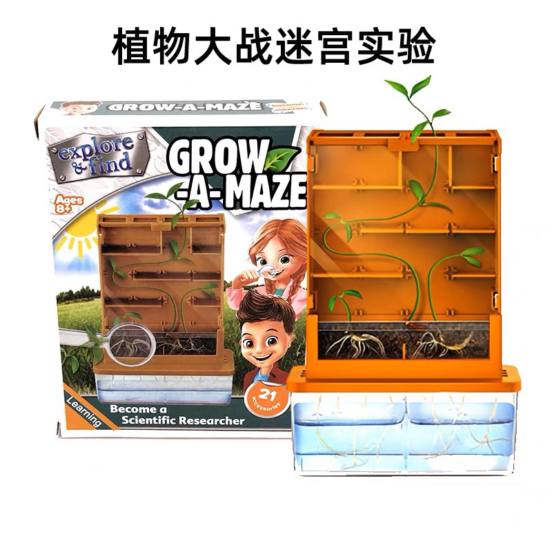 植物大戰迷宮幼兒園科學區材料植物生長觀察兒童益智科技製作實驗