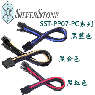 【3CTOWN】含稅 銀欣 PCIe 電源供應器電源延長線 8pin(6+2) SST-PP07-PCIBA
