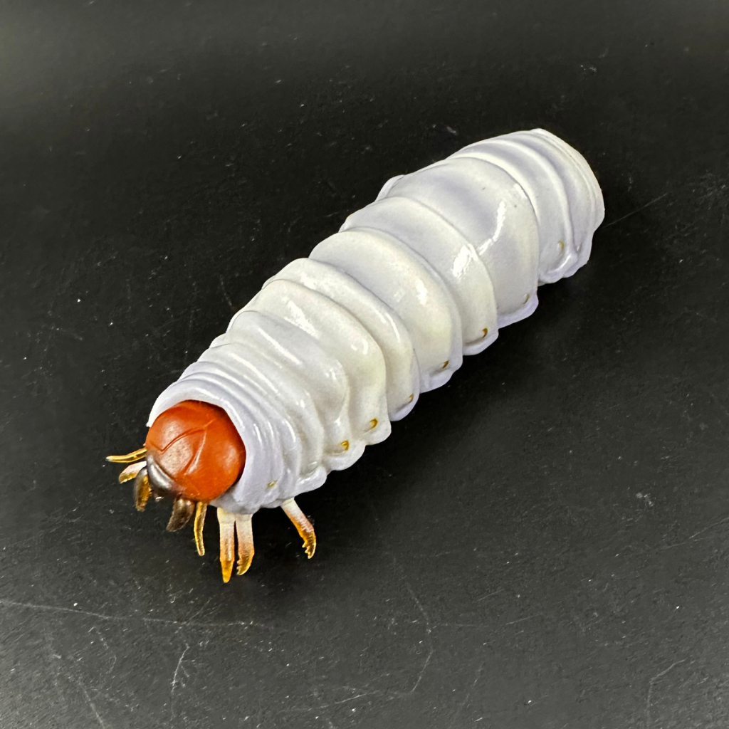 【售】全新未拆 BANDAI 萬代 鍬形蟲 環保扭蛋 04雞母蟲 幼蟲 昆蟲模型 轉蛋