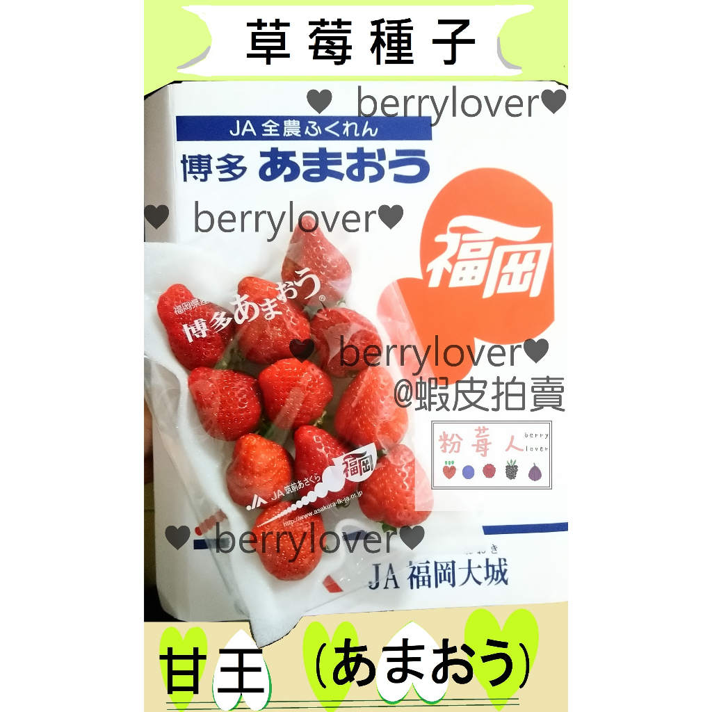 ❤️粉莓人🖤日本草莓  草莓種子 甘王