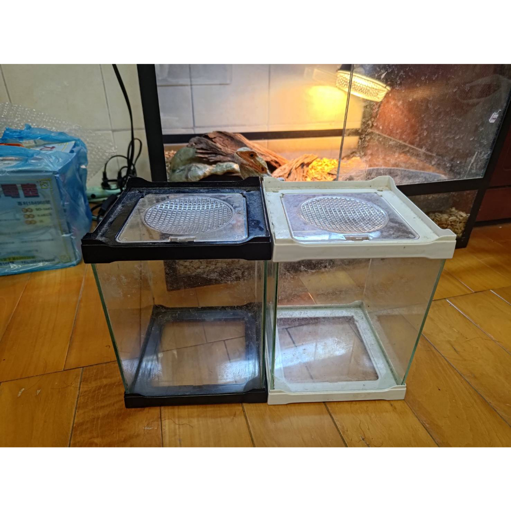(二手)ISTA 伊士達 多功能水族寵物缸【L】（黑、白兩色）堆疊缸 飼養箱 寵物缸 角蛙 烏龜 鬥魚 蜘蛛