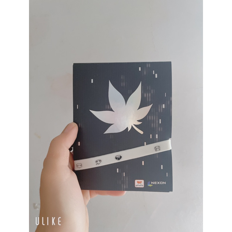 新楓之谷🍁 專輯💽 楓在🍁 隨身碟