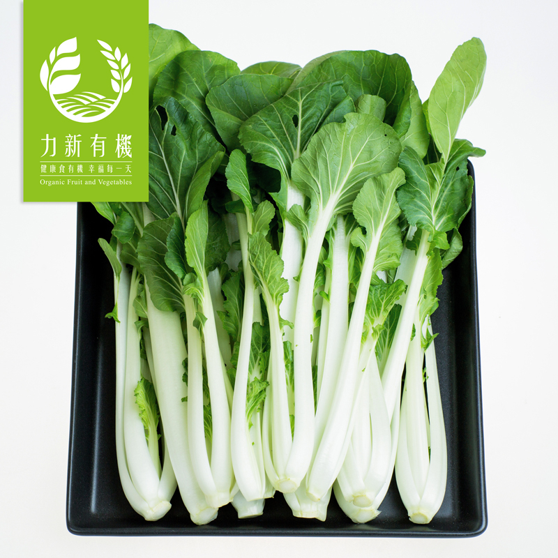 力新有機 有機黑葉白菜 250g/包 安心無毒食材 產地鮮採 當季蔬菜 有機驗證 有機小農 青菜