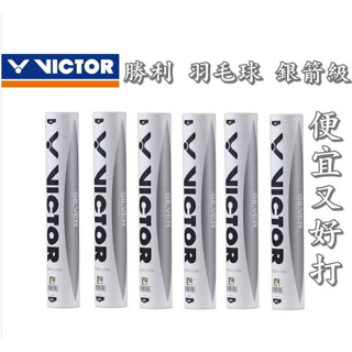 【大自在】VICTOR 勝利 羽球 SILVER 羽毛球 銀箭級 B-08 練習球 公司貨 開發票 12入