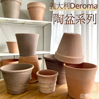 ｜菜鳥植物園｜附墊片Deroma陶盆 帝羅馬陶盆 義大利陶盆 標準陶盆 高盆 碗型 siena陶盆
