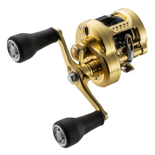 【民辰商行】2023年 SHIMANO CALCUTTA CONQUEST MD 大物專用 雙軸捲線器 鼓式捲線器