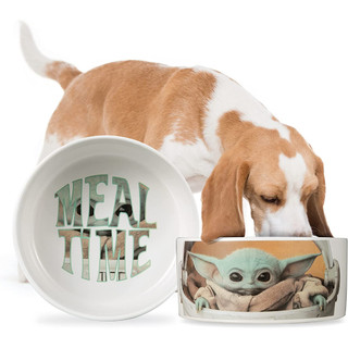 預購❤️正版❤️ 美國專櫃 STAR WARS 星際大戰 迪士尼 古古 寵物碗 食盆 陶瓷 The Child 尤達寶寶