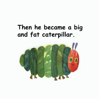 The Very Hungry Caterpillar 好餓好餓的毛毛蟲 艾瑞卡爾 1DVD