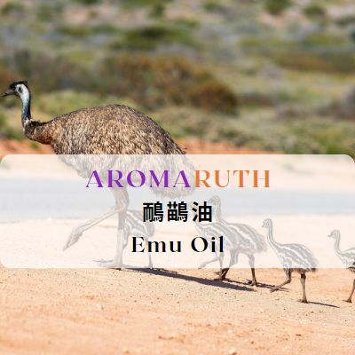 AROMARUTH澳洲精製鴯鶓油Emu Oil