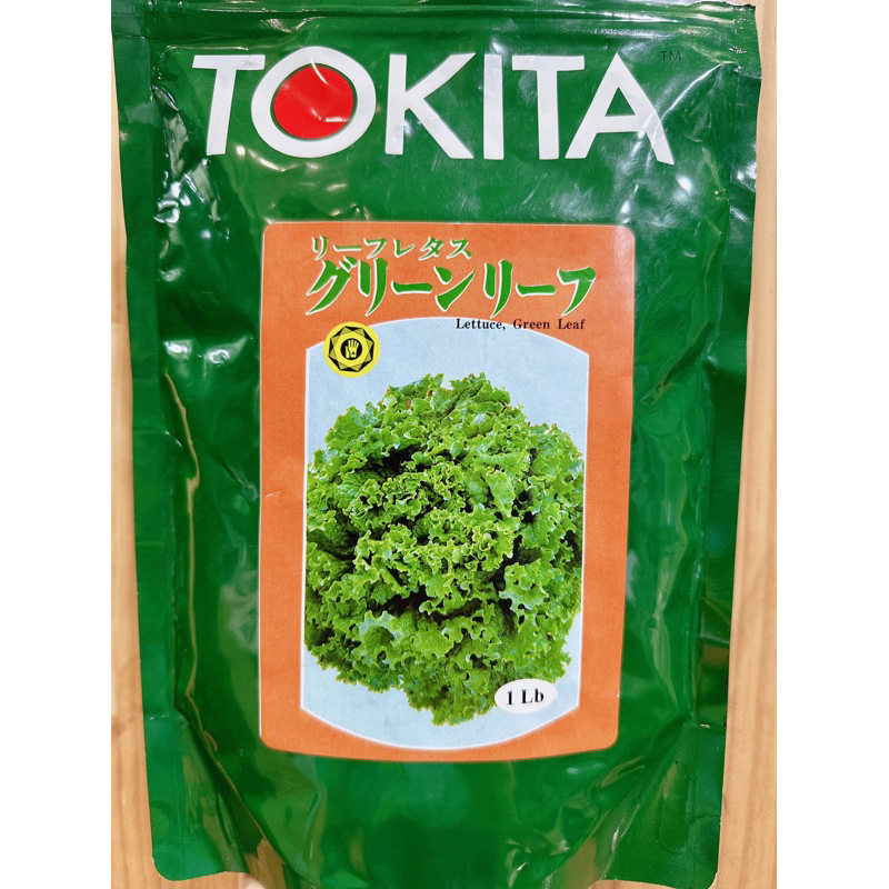 原包裝 1磅 青大球萵苣種子 綠捲萵苣種子 綠捲種子 綠捲菜種子 日本萵苣種子 綠捲菜種子 萵苣種子 生菜種子