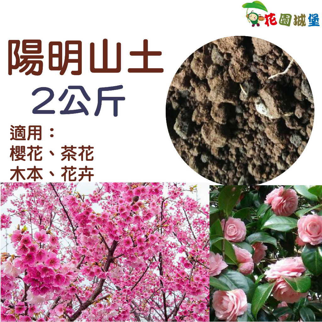 現貨-陽明山土 顆粒土 2公斤 櫻花 茶花 木本 花卉 天然開採篩選 未經加工 東洋蘭 觀音竹 果樹【花園城堡】