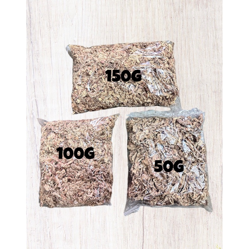 智利水苔 水草150g/100g/50g裝 鹿角蕨 蘭花 園藝資材