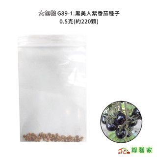 大包裝G89-1.黑美人紫番茄種子0.5克(約220顆) 無限生長型 果實顏色獨特 定植後約75天可採收【綠藝家】