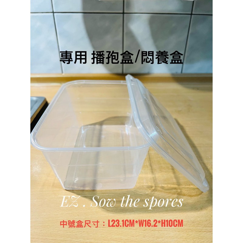 《EZ播孢樂🦌》專用高級透明硬盒，中大號播孢盒｜悶養盒｜分苗盒，氣密性佳，好保水，易開蓋 餐盒。