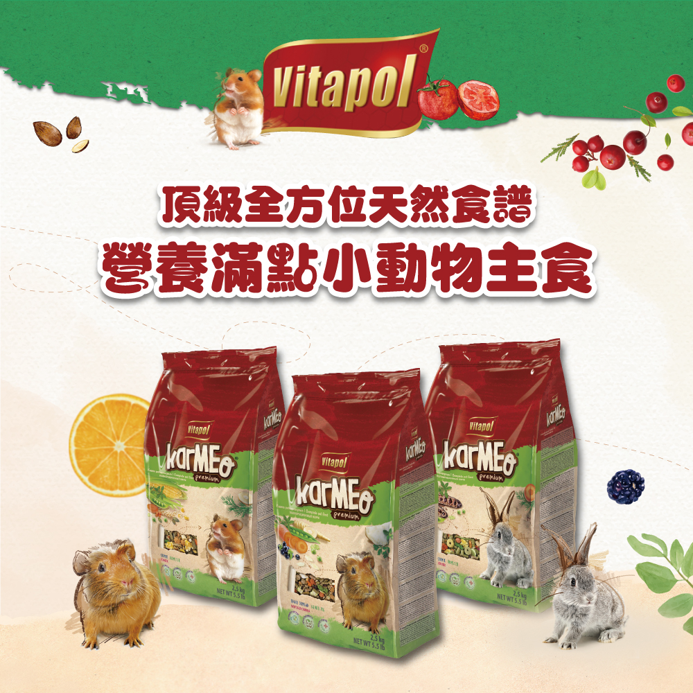 Vitapol - 營養滿點愛鼠主食 倉鼠飼料 ( 400g )