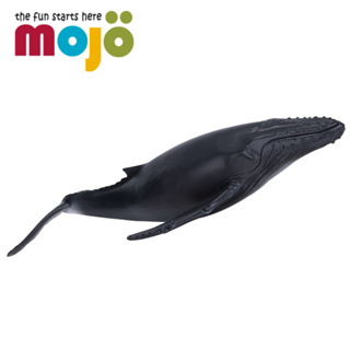 Mojo Fun動物模型-座頭鯨