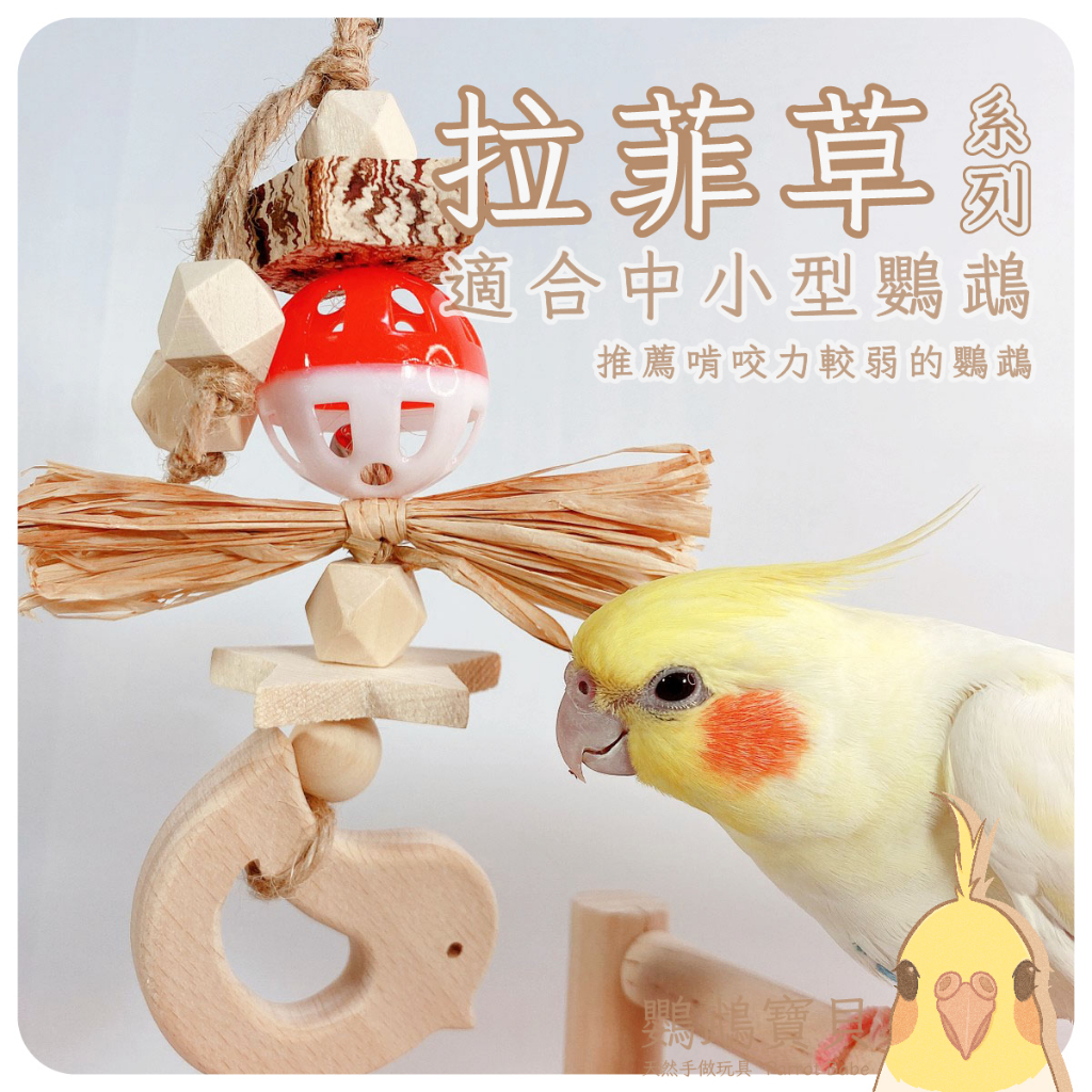 鸚鵡啃咬玩具 台灣製 當天寄 鸚鵡玩具 鸚鵡啃咬串 天然啃咬 鸚鵡用品 太平洋 虎皮 玄鳳 太陽系 和尚 凱克