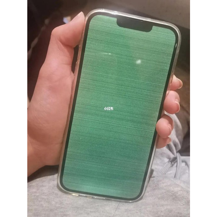 【台北維修】iPhone13 pro 液晶螢幕維修 綠屏 維修完工價格1200元 全國最低價