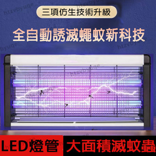 【臺灣現貨】110V電擊式補蚊燈 40W家用商用捕蚊燈 掛壁式靜音滅蚊燈 雙層電網電蚊燈滅蚊燈 雙燈管捕蚊燈