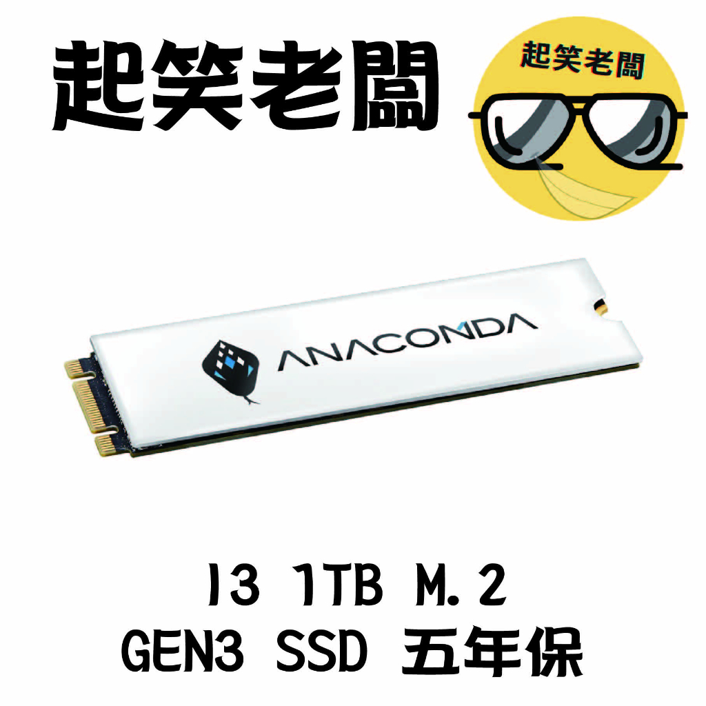 【全新未拆】ANACOMDA 巨蟒 i3 1T Gen3x4 M.2 PCIe SSD固態硬碟 五年保