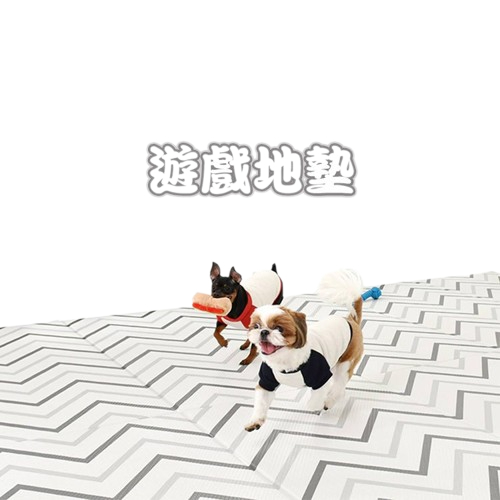 韓國製 dfang迪邦 寵物降溫遊戲地墊 - 摺疊款240X140cm (4片組)
