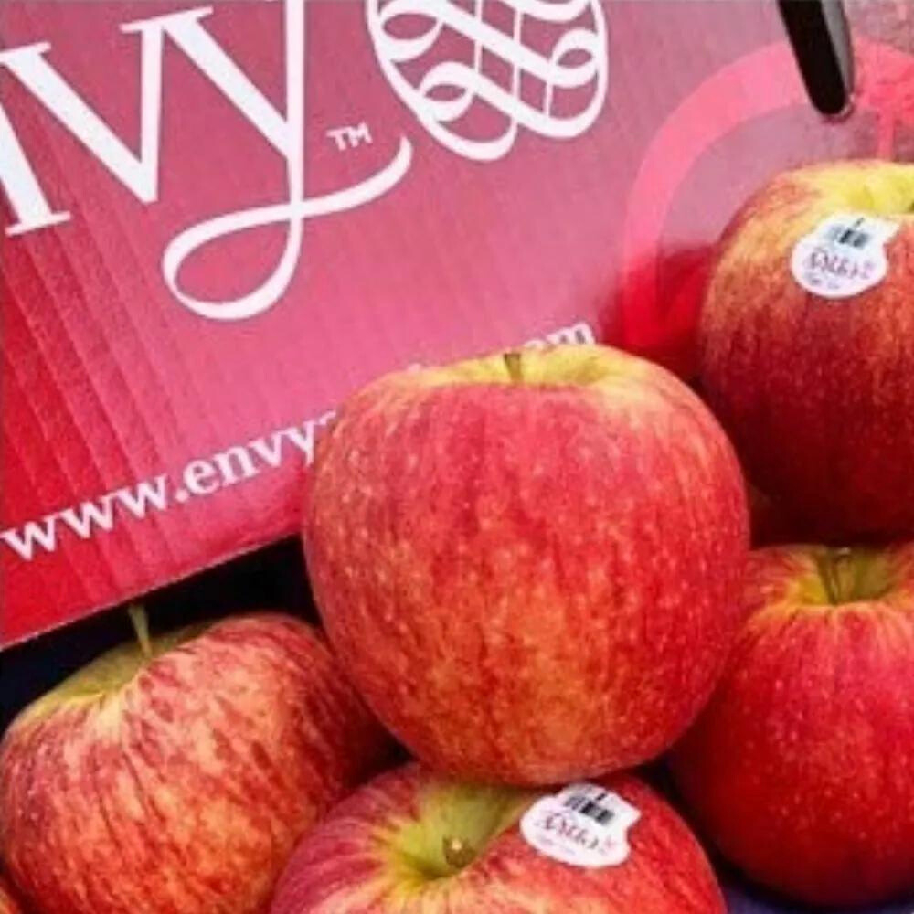紐西蘭Envy愛妃蘋果【真食材本舖・RealShop｜水果】水果禮盒