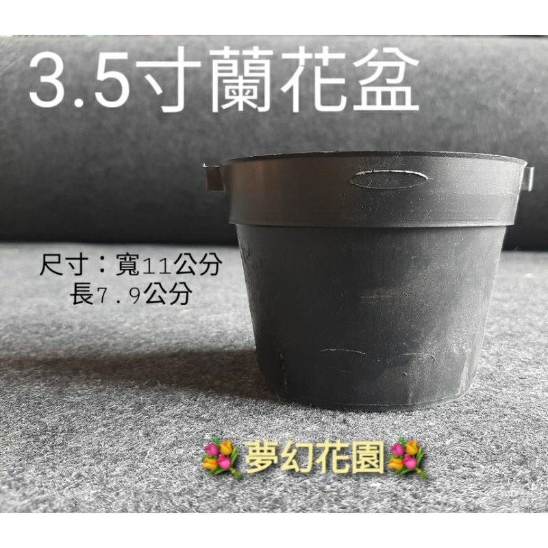 蘭花盆(黑吊耳盆.洋蘭吊盆) 3寸半 透氣 可單買花盆或鐵絲