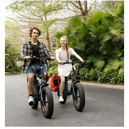 20 英寸 x 4 胖胎可折疊電動自行車 500 瓦電機 Shimano 7 速變速電動自行車可拆卸電池城市電動自行車