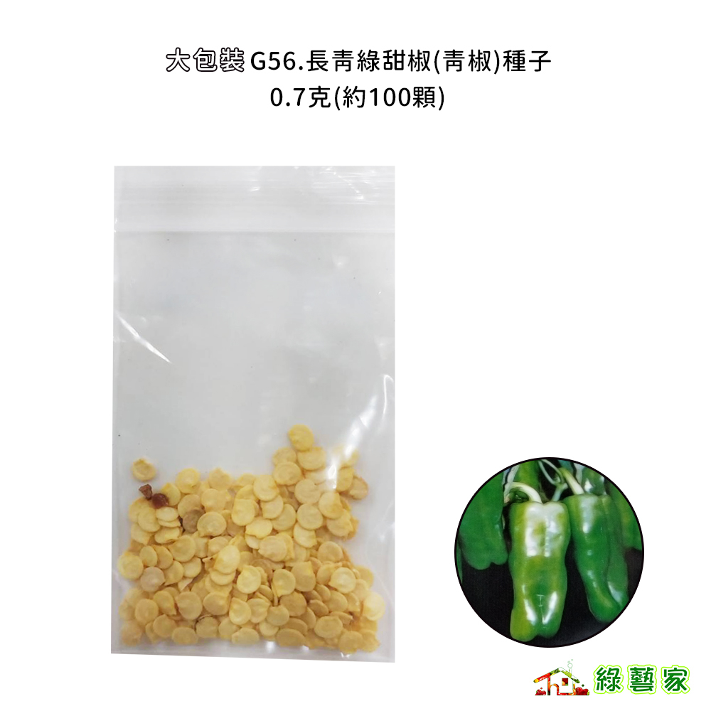大包裝G56.長青綠甜椒(青椒)種子0.7克(約100顆) 果型光滑端正 結果多 彩椒 生育強健【綠藝家】