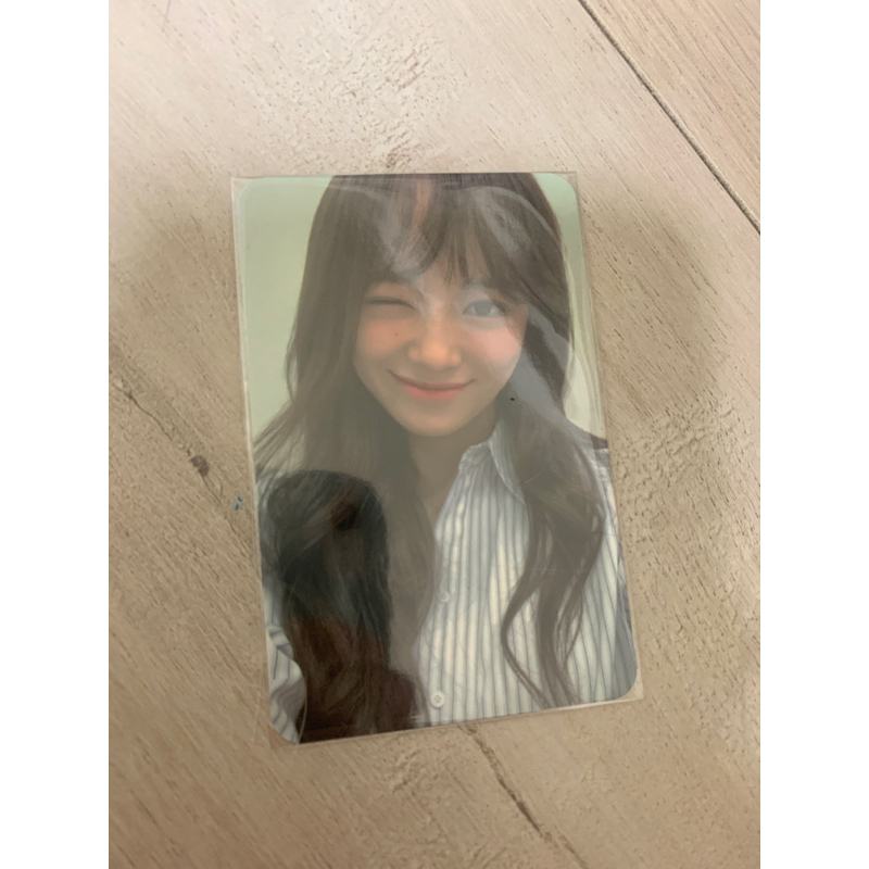 金世正 小卡 世正 Sejeong 花盆