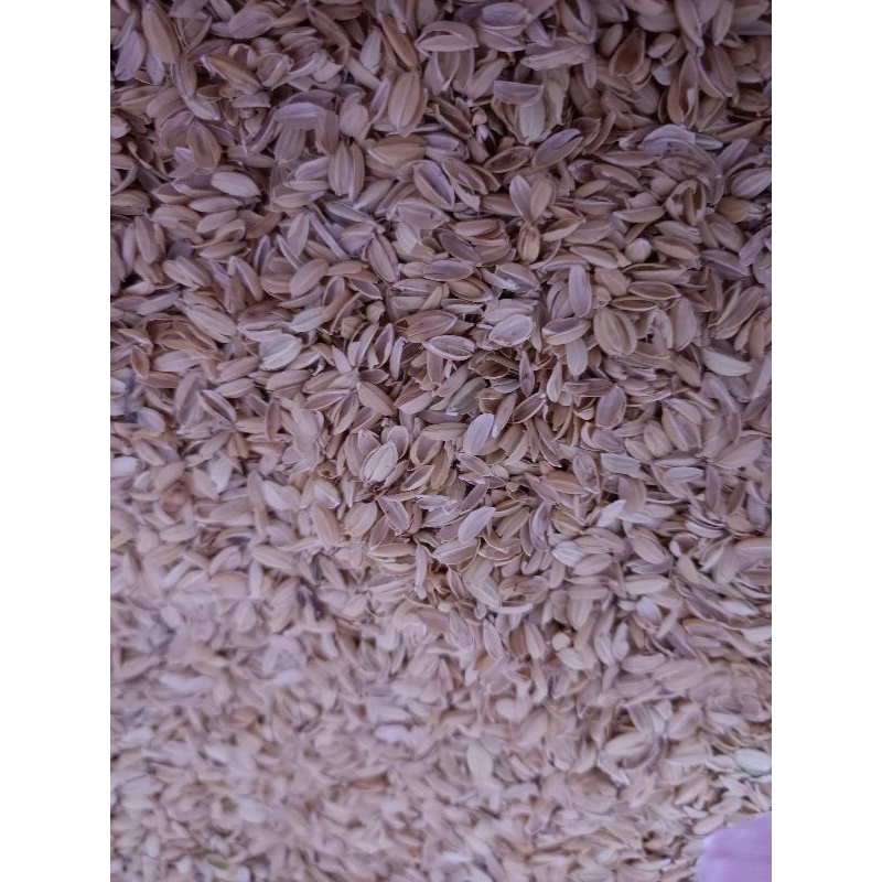 白玉蝸牛❤️ 保濕底材粗糠