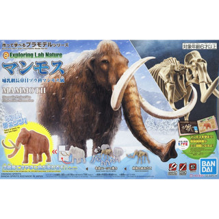 全新現貨未組[ELN] Exploring Lab Nature 猛獁象 長毛象 萬代 組裝模型 MAMMOTH