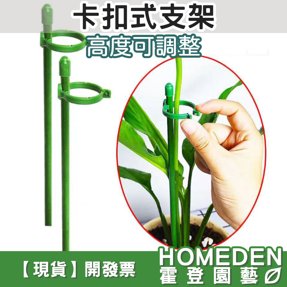 【隔日到貨】卡扣式支架 植物支架 爬藤支架 植物支撐架 盆栽支架 支撐桿 固定桿 花架 蘭花夾【HOMEDEN霍登園藝】