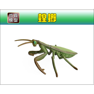 栩栩如生【螳螂】優質模擬模型 野生動物 昆蟲_新品現貨