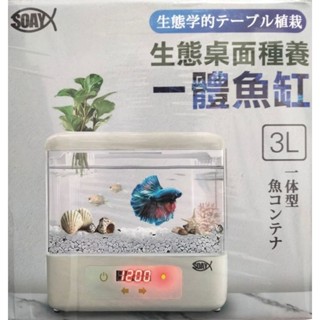 臺灣現貨 懶人魚缸 生態桌面種養一體魚缸3L USB多功能水族箱 免換水 底部過濾 360度觀景無阻礙桌上型魚缸