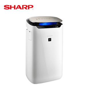 【SHARP 夏普】19坪 自動除菌離子空氣清淨機 FP-J80T-W 福利品