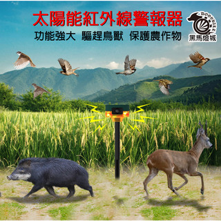 可錄音太陽能紅外線警報器｜【黑馬燈城】｜】防賊/防盜/感應聲光/驅動物/驅猴/趕山豬/槍聲/狗叫/定時/驅鳥【A487】