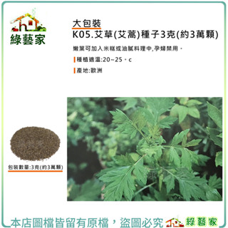 大包裝K05.艾草(艾蒿)種子3克(約3萬顆)(香草種子)【綠藝家】