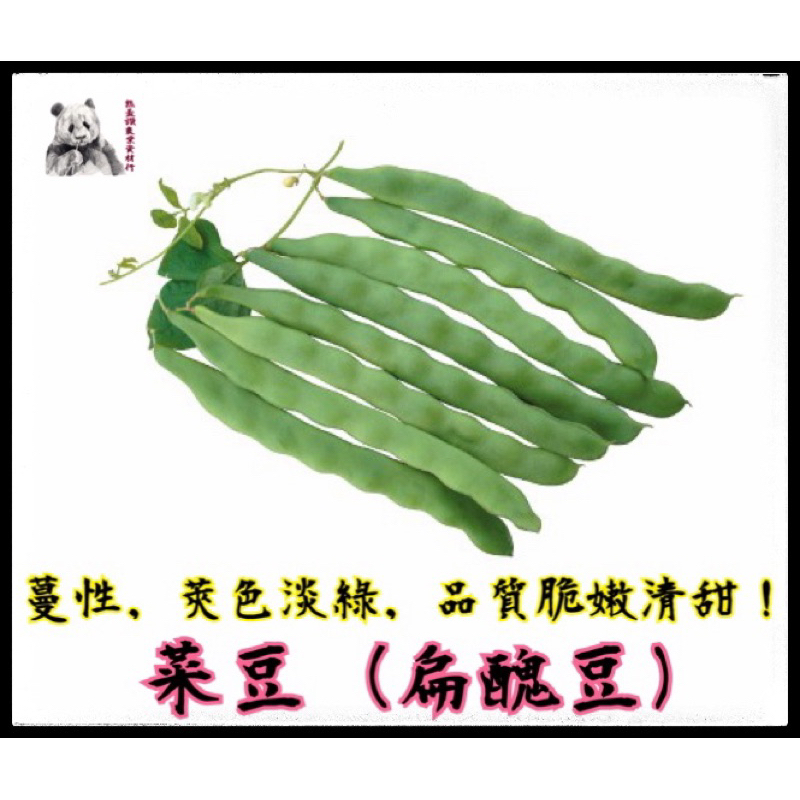 菜豆 扁醜豆 	  蔓性，莢色淡綠，品質脆嫩清甜 扁醜豆種子 農友種子 蔬菜種子