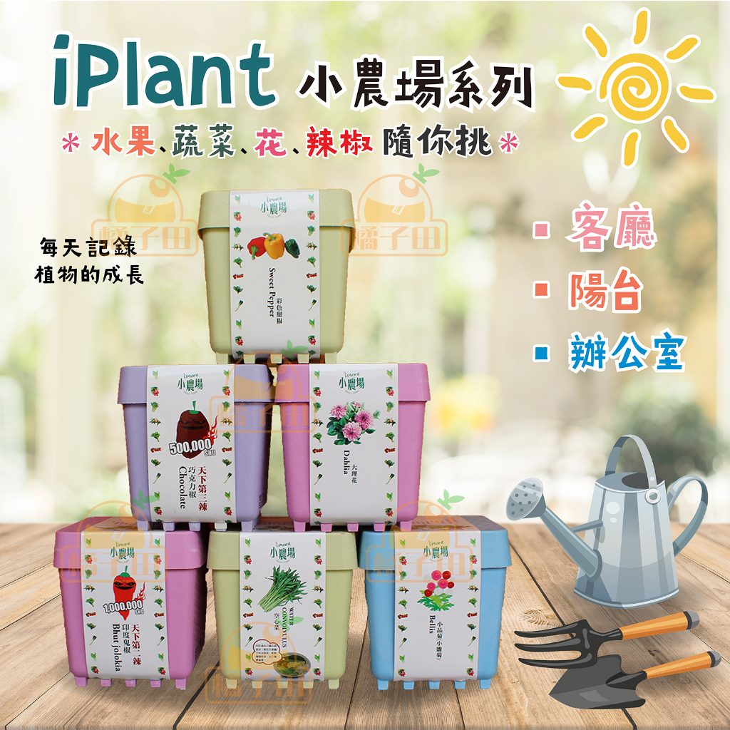 【橘子田】iPlant小農場系列輕鬆種盆栽系列